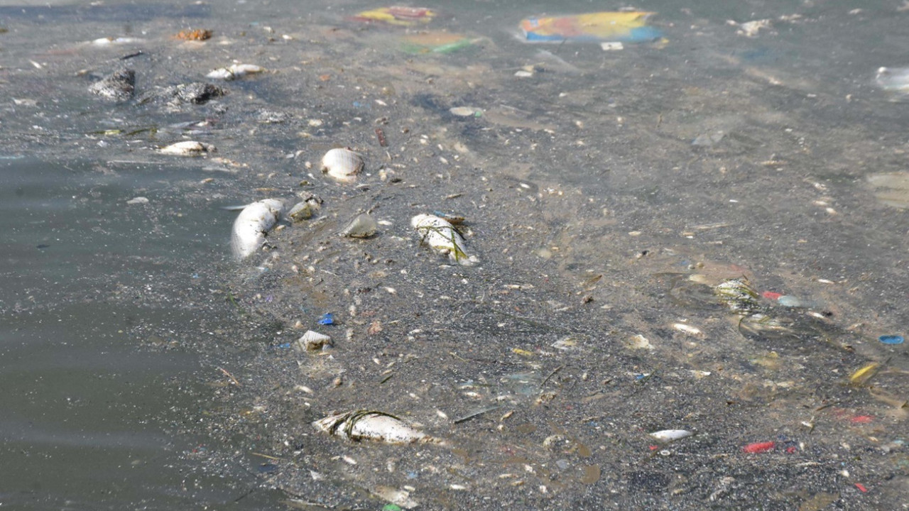 Bahadır Altınkeser'den Büyükşehir'e Sert Eleştiri