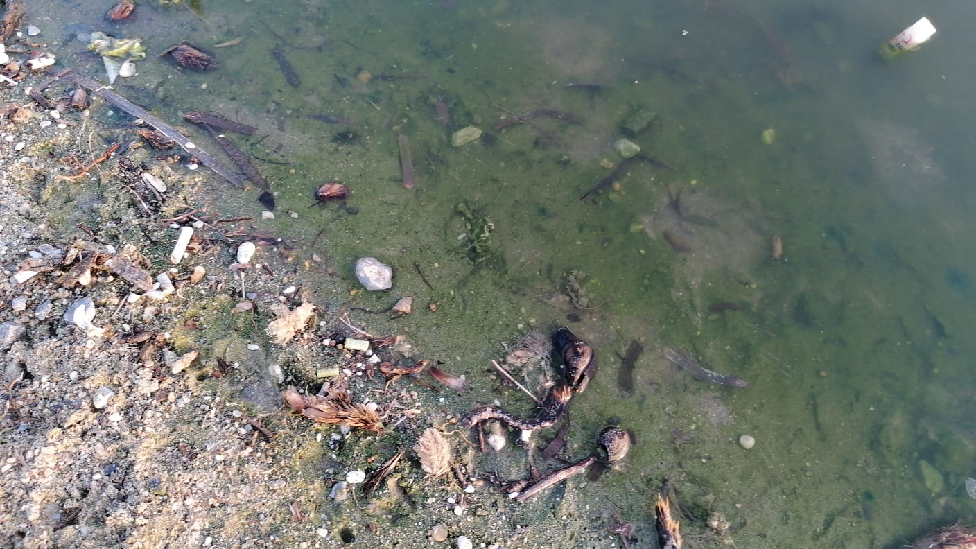 KUŞADASI BELEDİYESİNİN HALKTAN GELEN TÜM SORUNLARI 'GÜVERCİN MASA' VASITASIYLA ÇÖZDÜĞÜ ORTAYA ÇIKTI!