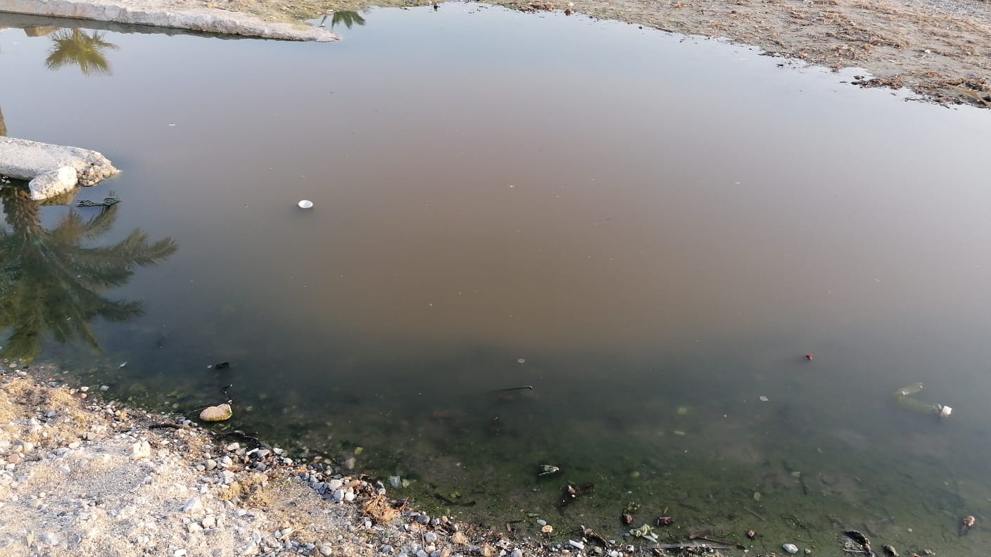 KUŞADASI BELEDİYESİNİN HALKTAN GELEN TÜM SORUNLARI 'GÜVERCİN MASA' VASITASIYLA ÇÖZDÜĞÜ ORTAYA ÇIKTI!