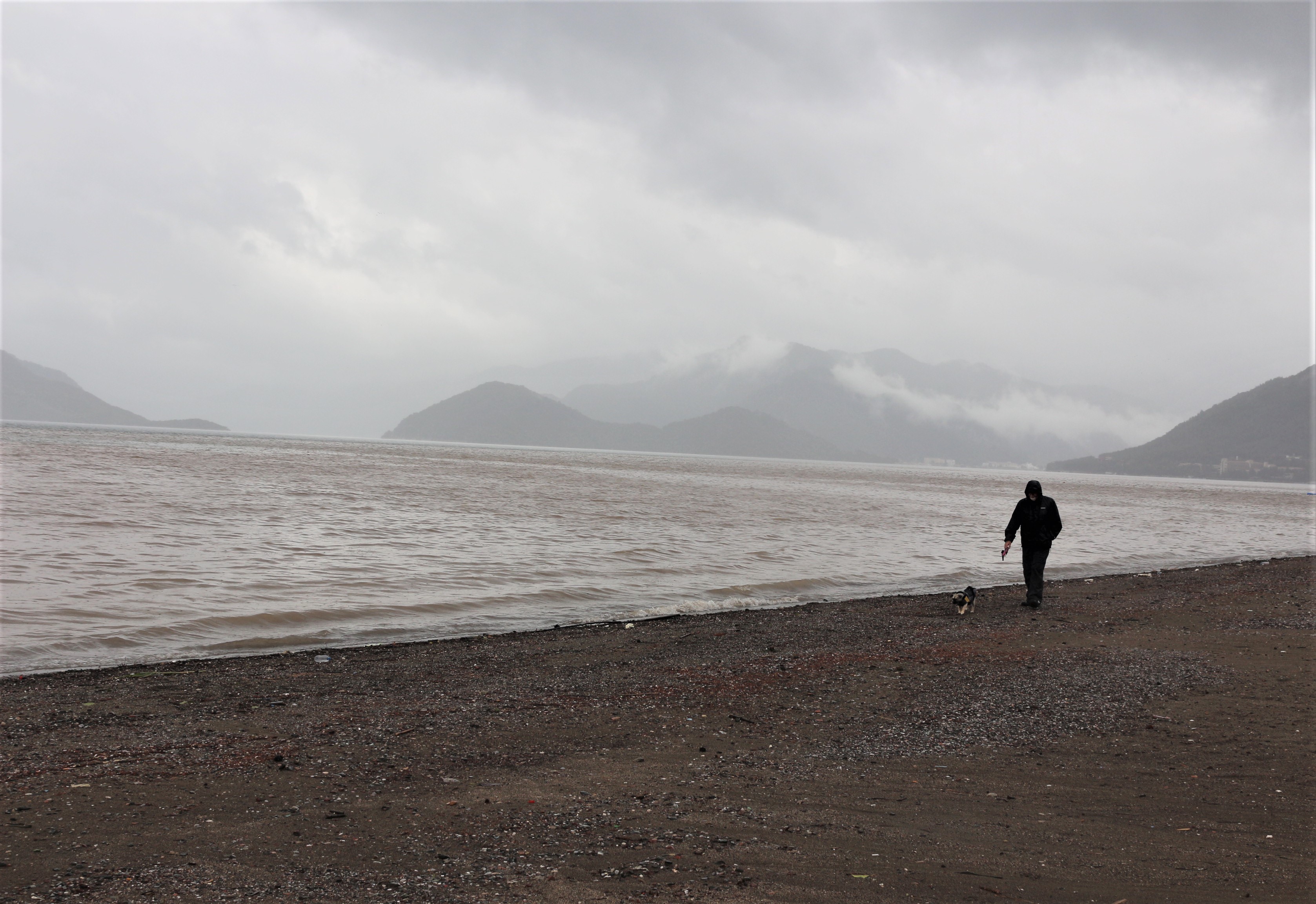 Sahile gidenler şaşkına döndü
