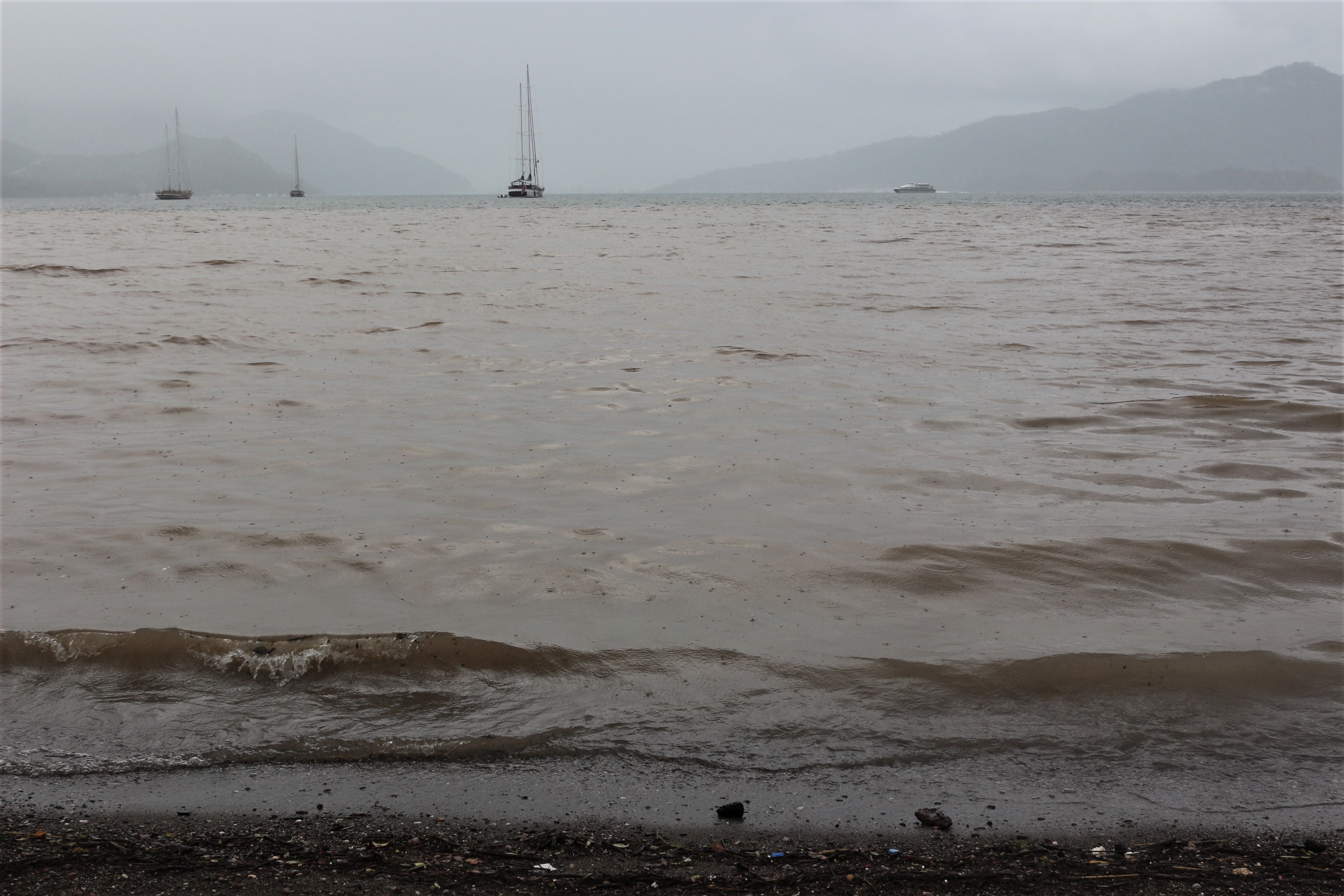 Sahile gidenler şaşkına döndü