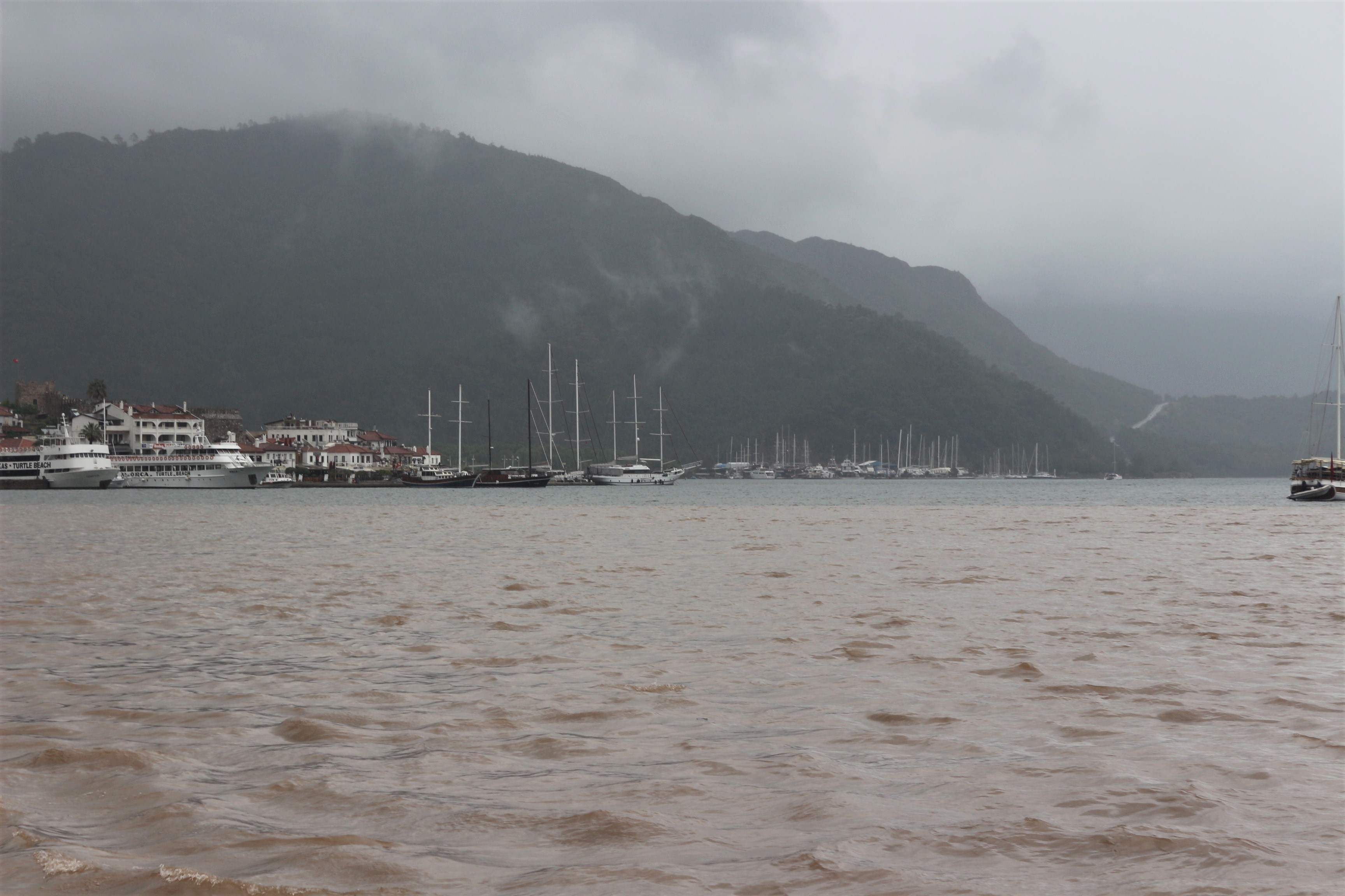 Sahile gidenler şaşkına döndü