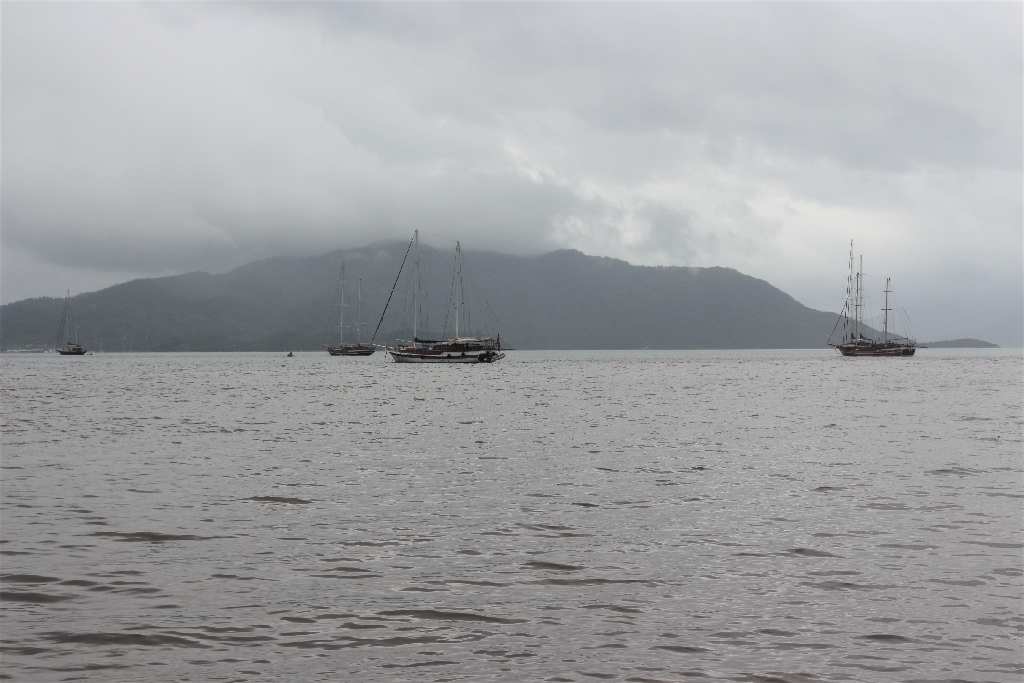 Sahile gidenler şaşkına döndü