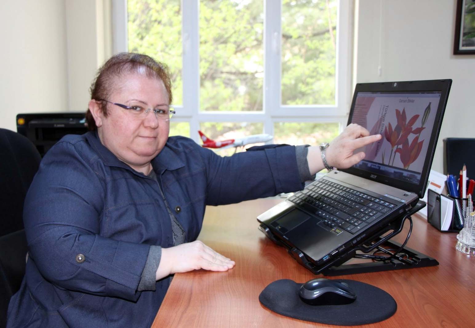 Bilim insanlarının yıllardır aradığı ‘yitik lale’ 2023’te Amasya’ya dönüyor