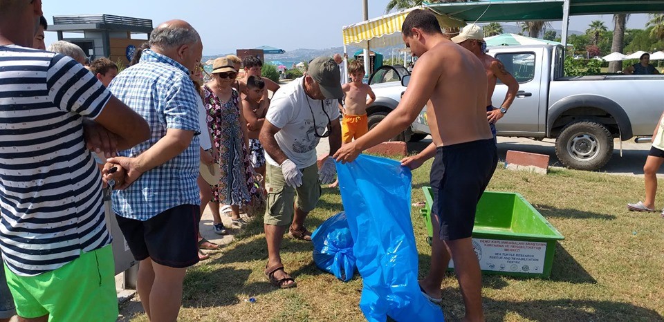 Kuşadası’nda 1 yunus ve 3 caretta ceratta sahile vurdu