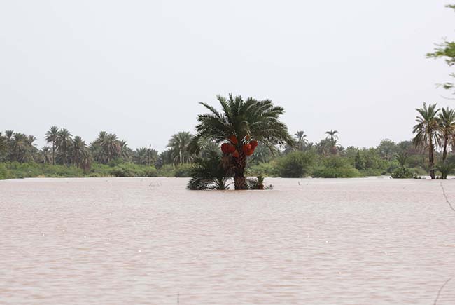 Sudan’da sel felaketi: 62 ölü