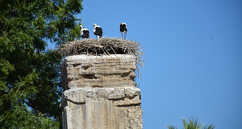 İZMİR/SELÇUK&#039;UN ASIRLIK SEVDALILARI