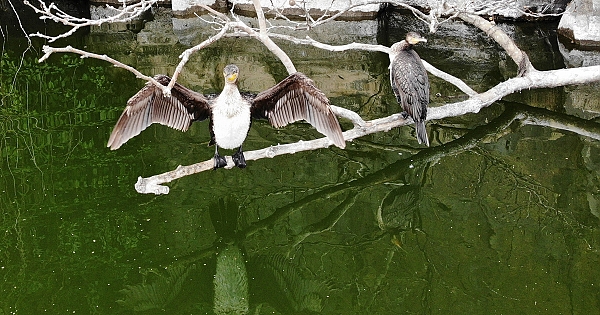 Sönmüş lavların arasındaki antik güzellik: Adala Kanyonu
