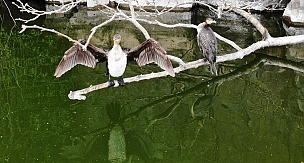  Sönmüş lavların arasındaki antik güzellik: Adala Kanyonu