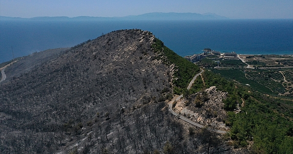 İzmir&#039;in Menderes ilçesindeki orman yangını
