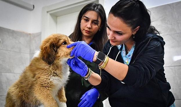 HAYTAP’tan Büyükşehir&#039;e tam not!