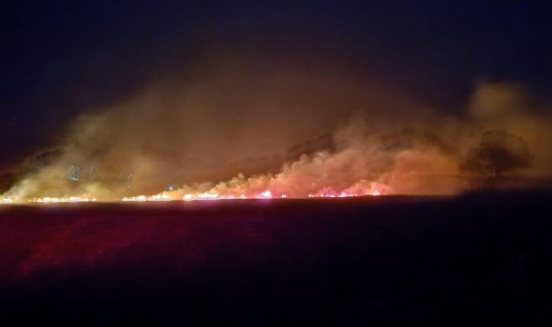 40 dekar buğday tarlası küle döndü!