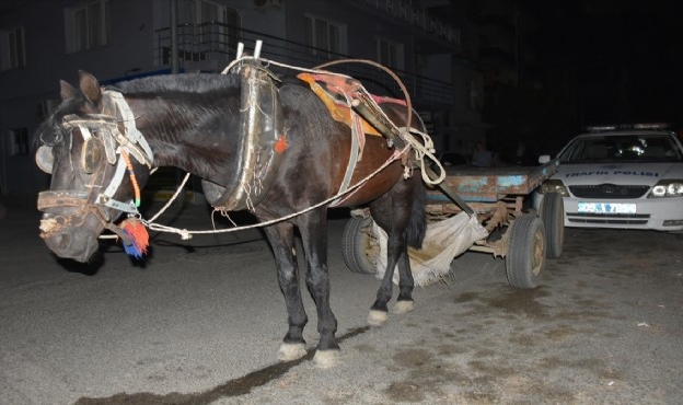 İlginç olay: Alkollü at arabası sürücüsüne ceza yağdı!