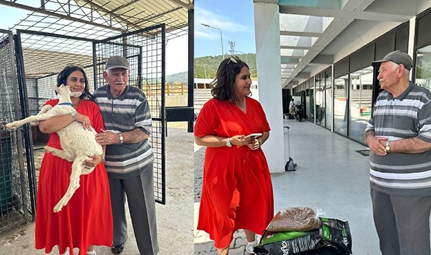 Sahipsiz kediler için anlamlı bağış