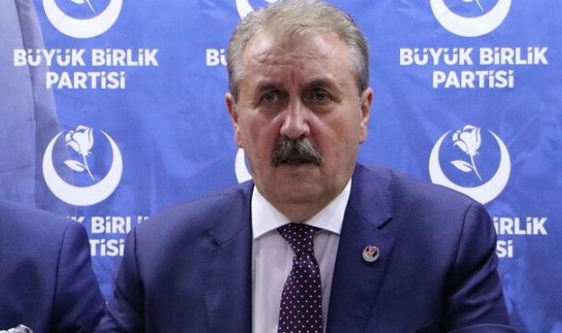 Destici: Köpeklerimizi sokaklarımızdan temizleyelim