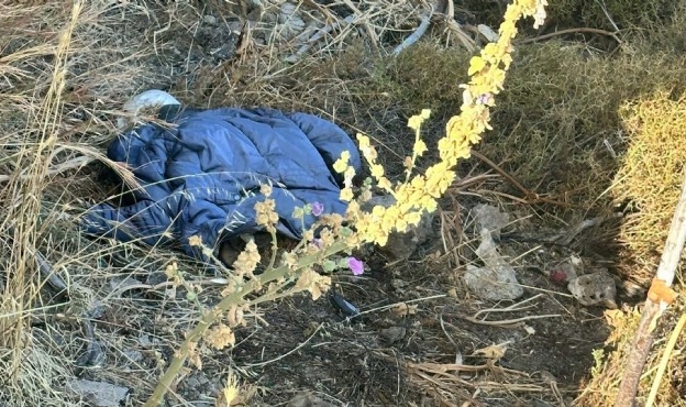 İnsan iskeleti bulundu... Muğla&#039;da korkunç olay!