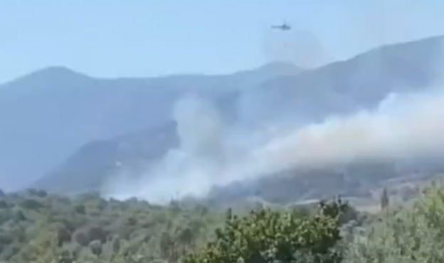 Menemen&#039;de korkutan orman yangını!