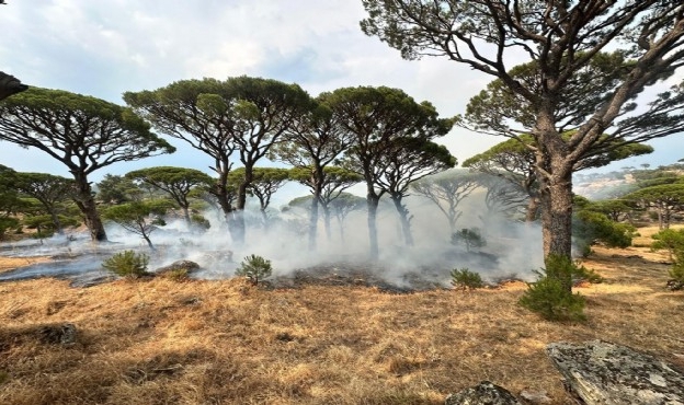 Yıldırım düştü, 7 noktada yangın çıktı: 10 dönüm zarar gördü!