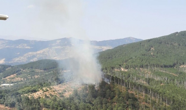 Aydın&#039;da orman yangını: Müdahale ediliyor!