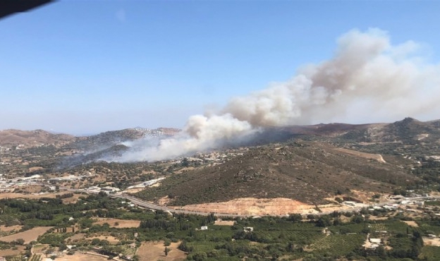 Aydın&#039;daki orman yangını: Müdahale sürüyor!