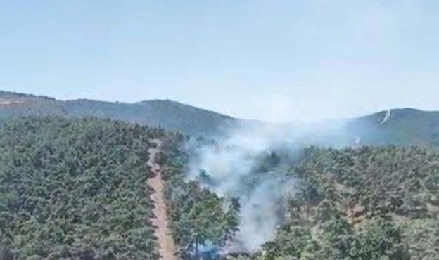 Aydın&#039;daki yangının acı bilançosu: 140 hektar kül oldu!