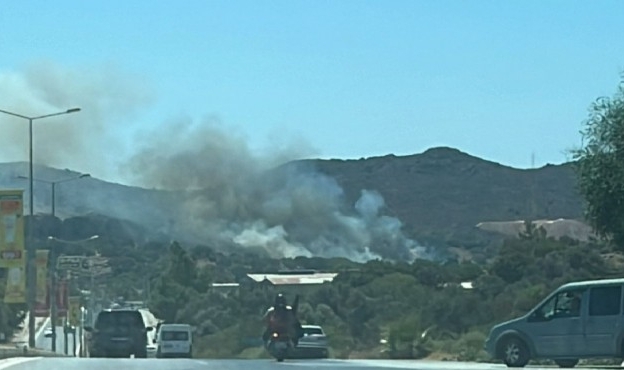 Bodrum&#039;da makilik yangını: Müdahale sürüyor