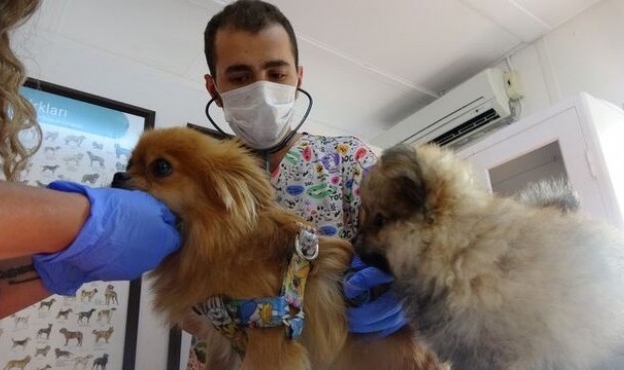 Eski sevgilisi şikayet etti... İşkence ortaya çıktı!