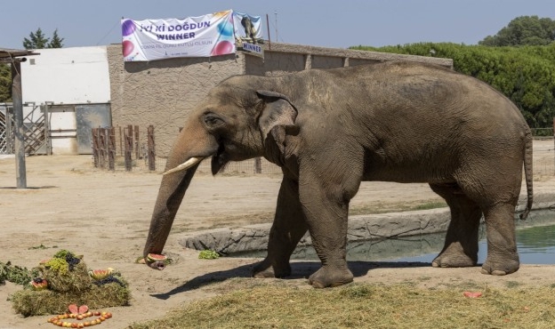 İyi ki doğdun Winner