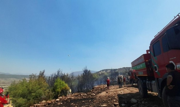 Muğla&#039;daki yangın kontrol altında
