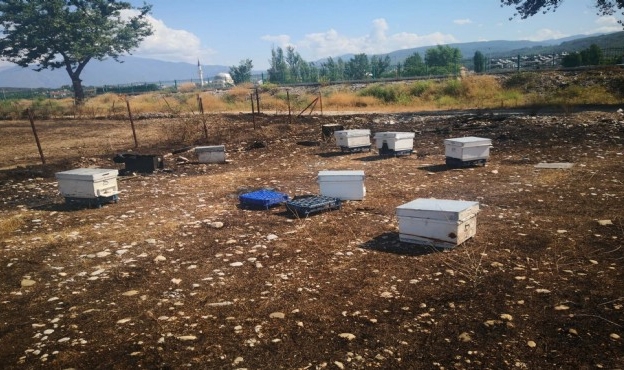 Muğlalı üreticilere 29 milyon lira tazminat!