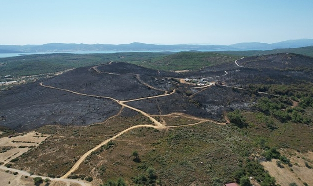 Yangın sonrası jet karar: Urla küllerinden doğacak