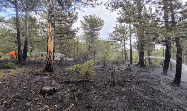 Yıldırım düşen ormanda yangın çıktı