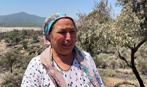 Zeytinlikleri yangında zarar görmüştü... Kadın gözyaşlarına boğuldu!