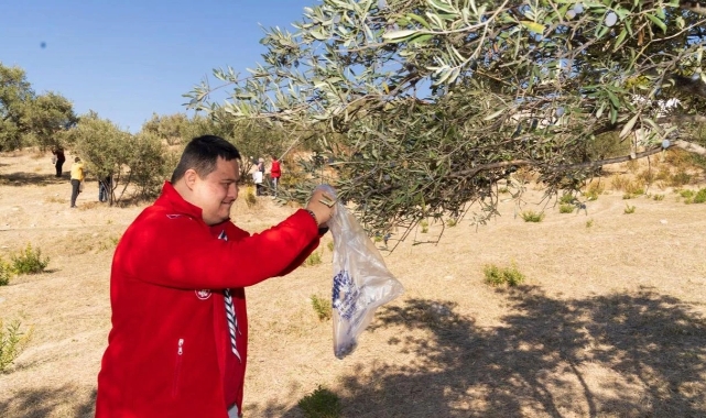 Engelli bireyler zeytin hasadında sosyalleşti