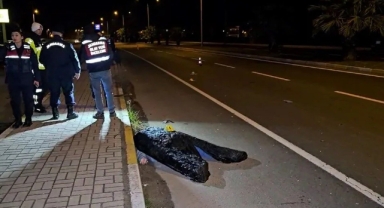 Kardeşleri ayıran kaza!