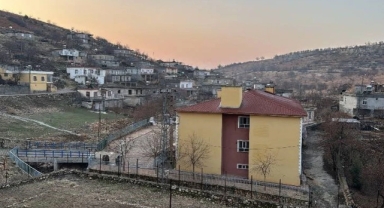 O kentte kuduz alarmı... Karantinaya alındı!