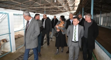 Manisa'da can dostlar için özel çalışma