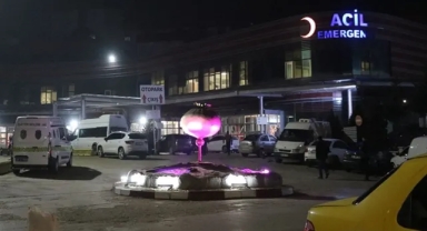 Tartıştığı kadını vurup, intihar etti!