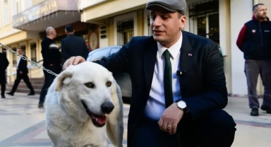 Başkan Eşki’den Hayvan Hakları savunucularına destek