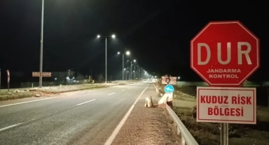 O kentte kuduz alarmı... Karantinaya alındı!