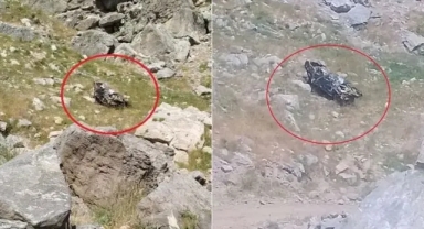Bilirkişi heyetinin aracı şarampole yuvarlandı: Çok sayıda ölü var