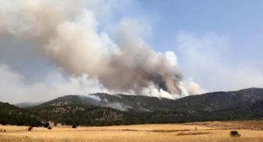 Eskişehir'de başladı, Afyon'a sıçradı... Kabus üçüncü gününde!