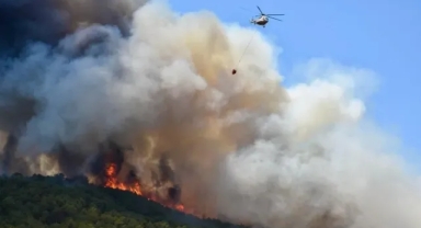 Eskişehir'deki orman yangınına soruşturma başlatıldı