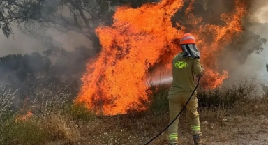 İçimiz yandı: 10 orman işçisi şehit!