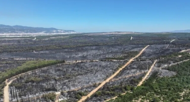 İzmir’in acı raporu: 26 bin 260 hektar kül oldu