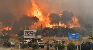 İZPA’dan orman yangını raporu... İzmir risk altında!