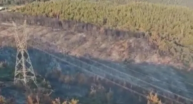 Manisa'daki yangın 2'nci gününde