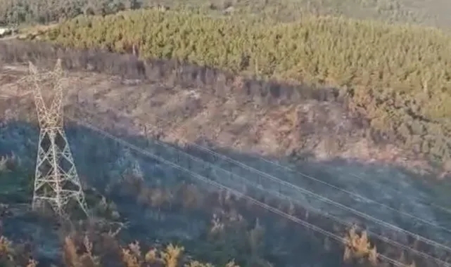 Manisa&#039;daki yangın 2&#039;nci gününde