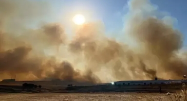 Manisa’daki yangın kontrol altında!