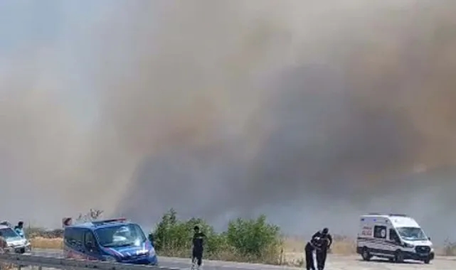 Muğla&#039;da tarım arazisinde yangın